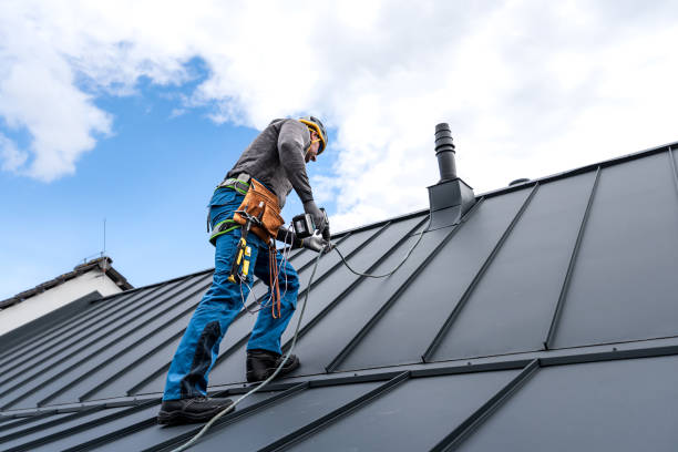 Best Skylight Installation and Repair  in Ballenger Creek, MD